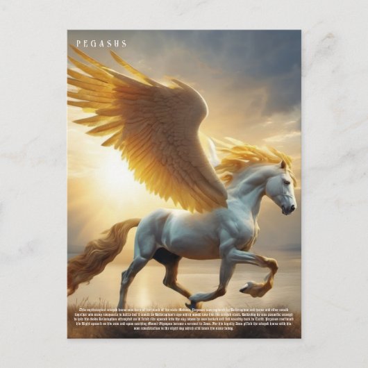 Pegasus Briefkaart (Voorkant)