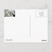 Pegasus Briefkaart (Achterkant)