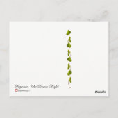 Pegasus. De Dawn vlucht. Briefkaart (Achterkant)