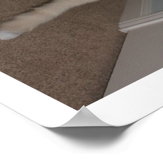 PEGASUS en Hunter S. Thomcat Poster (Hoek)