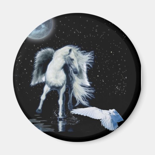 PEGASUS- EN WITTE RAVEN Collectie Magneet (Voorkant)