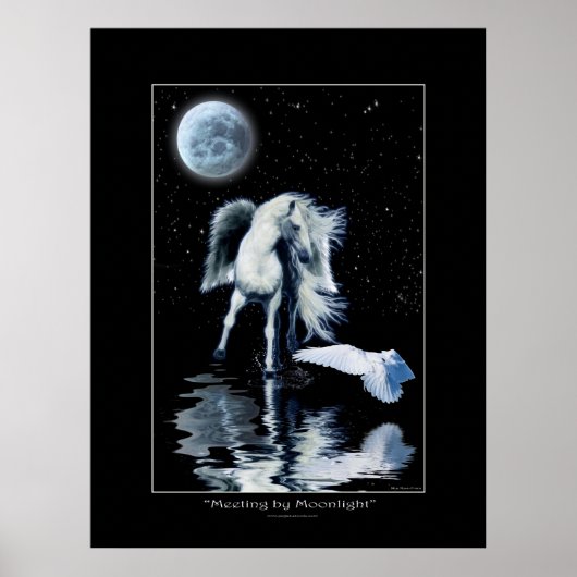 PEGASUS- EN WITTE RAVEN Collectie Poster (Voorkant)