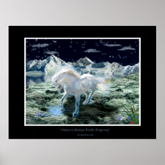 PEGASUS Fantasy Book Art Poster (Voorkant)
