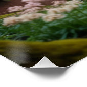 Pegasus Filly tijdens de wandeling Perfect Poster (Hoek)