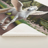 Pegasus Filly tijdens de wandeling Sherpa Deken (3/4)