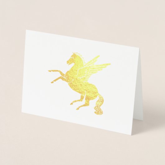 Pegasus Folie Kaarten (Voorkant)