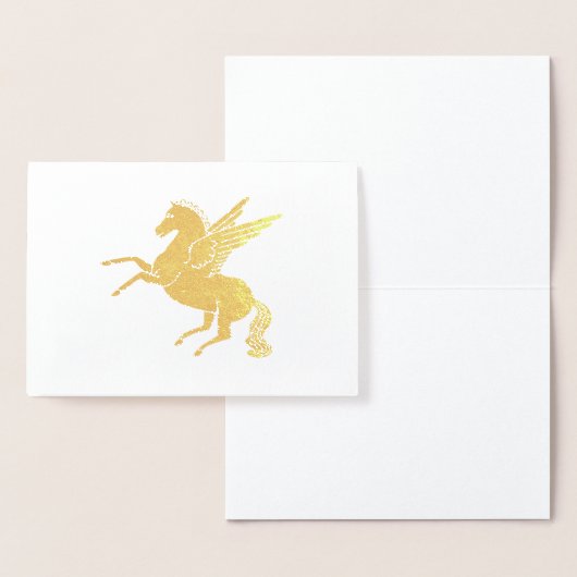 Pegasus Folie Kaarten (Display)