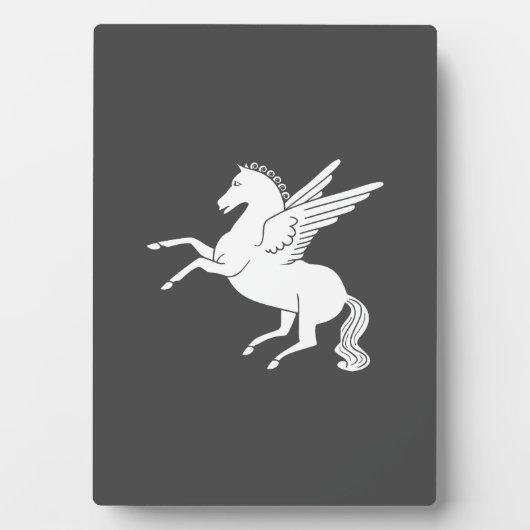 Pegasus Fotoplaat (voorkant)