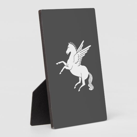 Pegasus Fotoplaat (Zijkant)