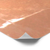 Pegasus Gilded bronze statue skulptur Paris Pont Poster (Hoek)