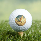 Pegasus Golfballen (Insitu Shirt)