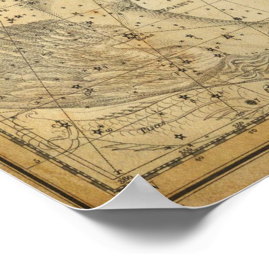 Pegasus Horse Constellation Star Map Andromeda Poster (Hoek)