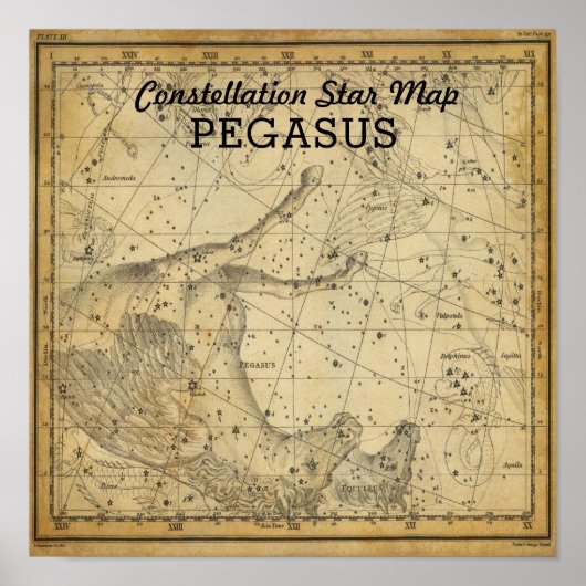 Pegasus Horse Constellation Star Map Andromeda Poster (Voorkant)