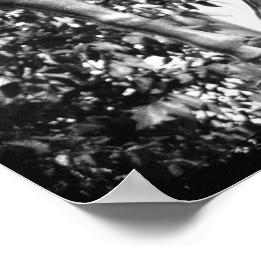 Pegasus in Black en White Grunge Poster (Hoek)