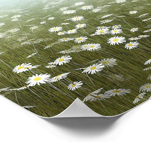 Pegasus in de diamanten poster (Hoek)