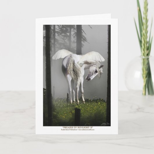 PEGASUS IN HET ZONLICHT WENSKAART KAART (Voorkant)