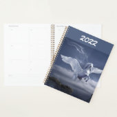 Pegasus in vlucht planner (Display)