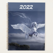 Pegasus in vlucht planner (Voorkant)