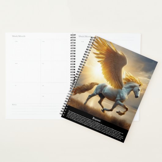 Pegasus Kalender Planner (Display)
