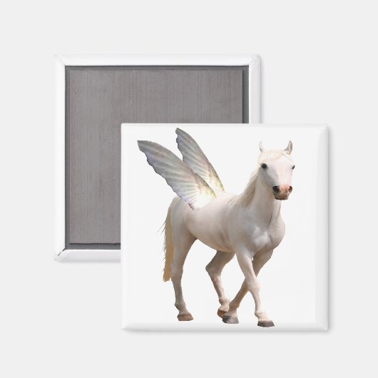 Pegasus Magnet (Voorkant / Achterkant)