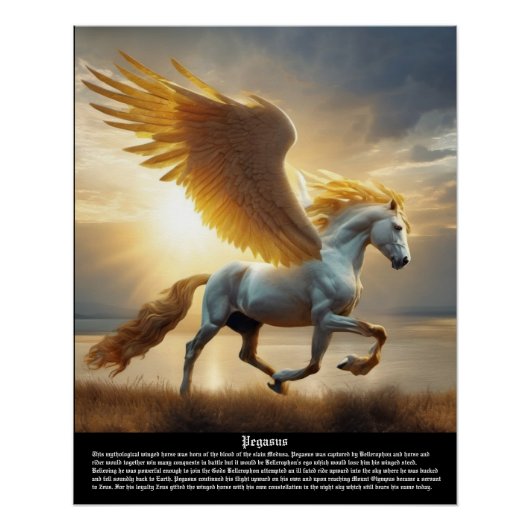 Pegasus Mythologie Perfect Poster (Voorkant)
