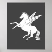 Pegasus Poster (Voorkant)