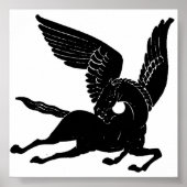 Pegasus Poster (Voorkant)