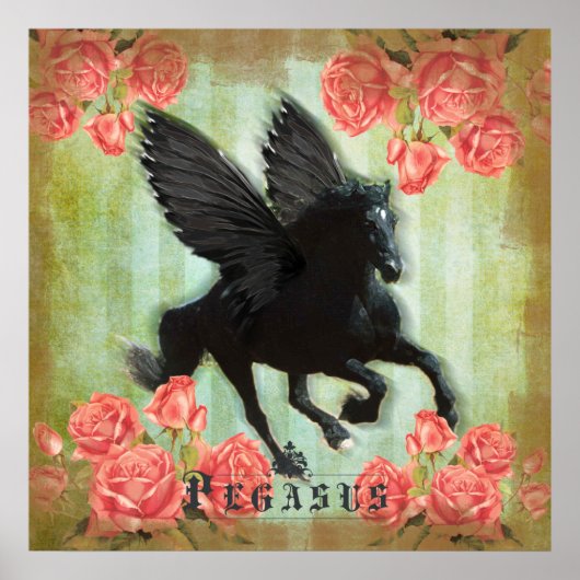 Pegasus - Poster (Voorkant)