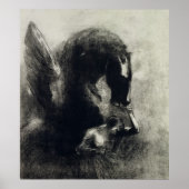 Pegasus Poster (Voorkant)