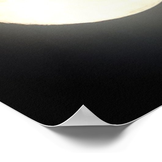 Pegasus Poster (Hoek)