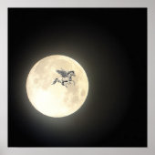 Pegasus Poster (Voorkant)