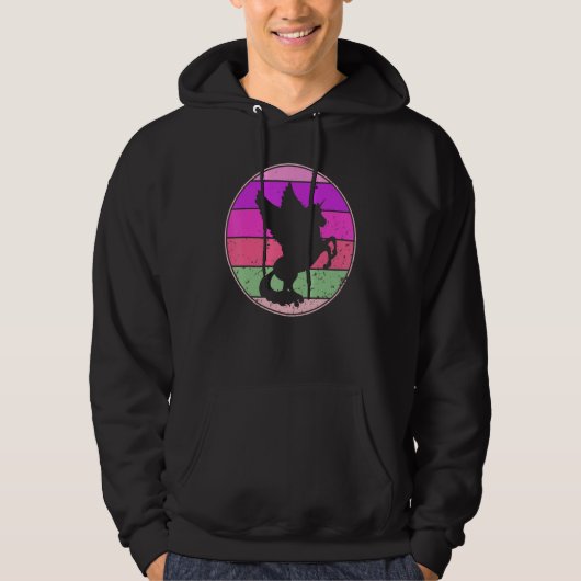 Pegasus Retro Pegasus Silhouette Cute Unic Hoodie (Voorkant)