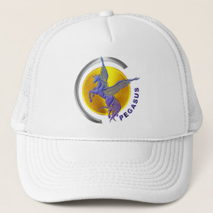 Pegasus Silver Arc met Golden Sun Trucker Pet