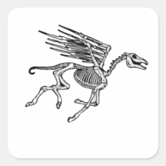 Pegasus Skelet op Women's Plus Vierkante Sticker (Voorkant)