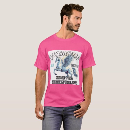 Pegasus T-shirt (Voorkant volledig)