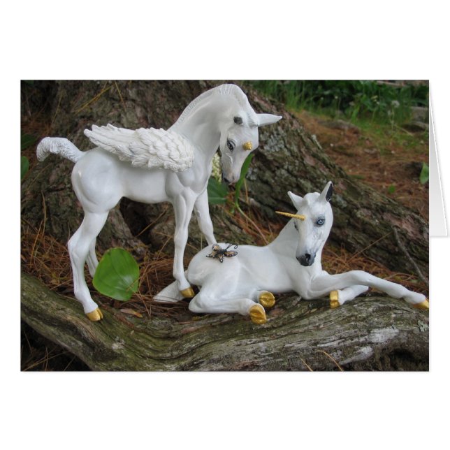 Pegasus & Unicorn Foals (Voorkant Horizontaal)