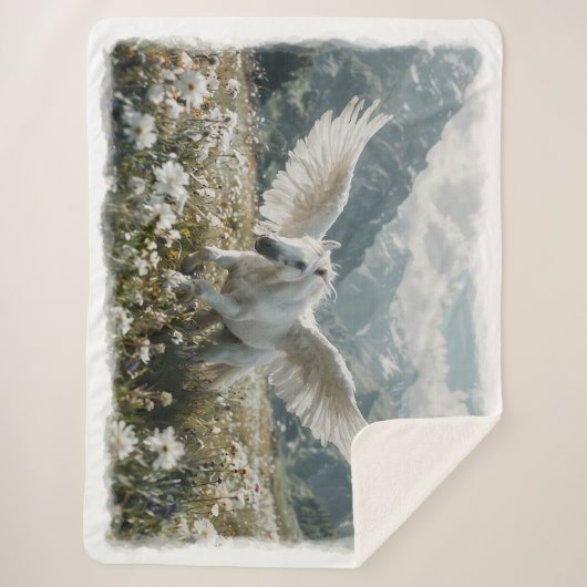 Pegasus voorbereiden op de start sherpa deken (Voorkant)