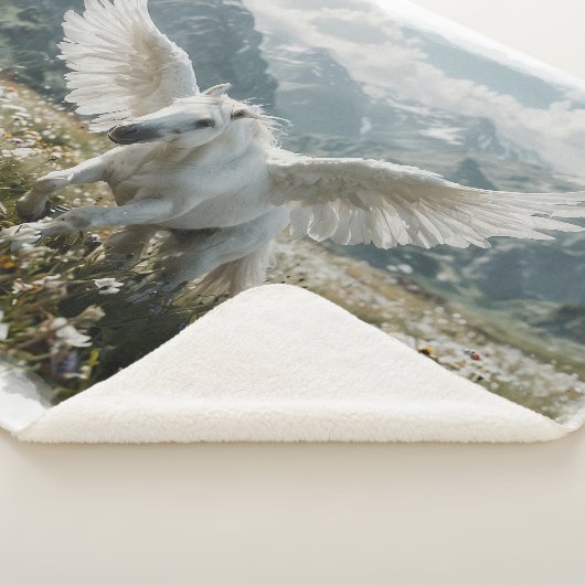 Pegasus voorbereiden op de start sherpa deken (3/4)