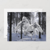 Pegasus Winged Flying Horse Forest Snow Briefkaart (Voorkant / Achterkant)