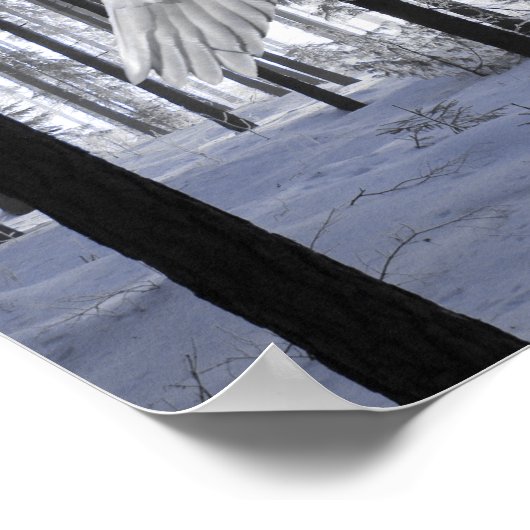 Pegasus Winged Flying Horse Poster (Hoek)