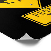 Pegasus XING Poster (Hoek)