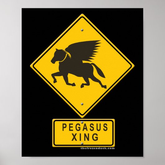Pegasus XING Poster (Voorkant)