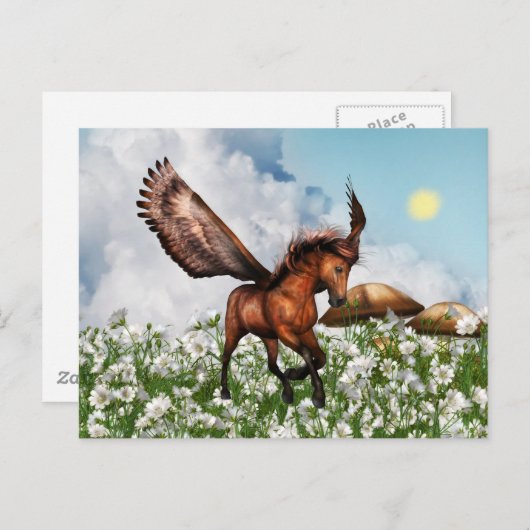 Pegasys in een Briefkaart (Voorkant / Achterkant)