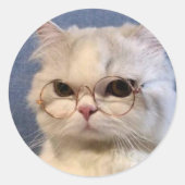 Pegatina de gato ronde sticker (Voorkant)