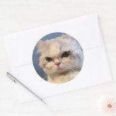 Pegatina de gato ronde sticker (Envelop)