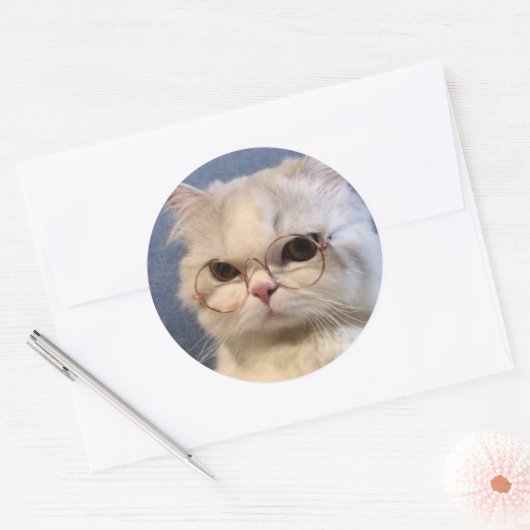 Pegatina de gato ronde sticker (Envelop)