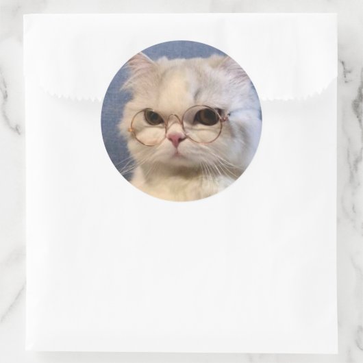 Pegatina de gato ronde sticker (Tas)