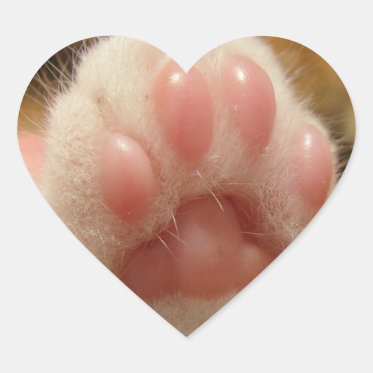 Pegatina de pata de gato hart sticker (Voorkant)