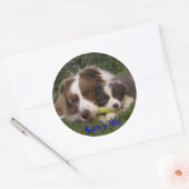 Pegatina Kun y Vir Ronde Sticker (Envelop)