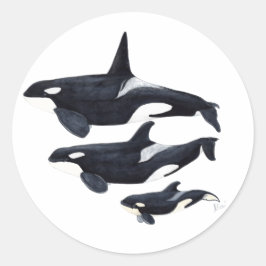 Pegatina orca ronde sticker